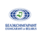 БЕЛЭКСИМГАРАНТ - страховая компания в Беларуси